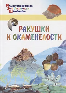 ИЭШ Ракушки и окаменелости