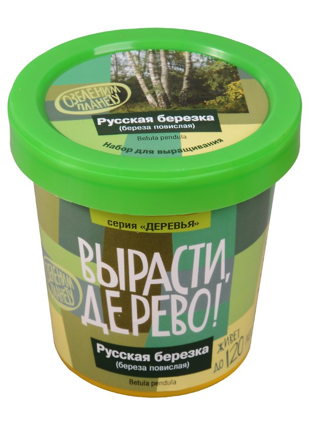 Набор для выращивания растений, Вырасти, Дерево! Русская березка zk-061 2610510 — 1