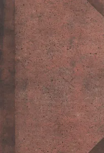 Поэт в 17 году