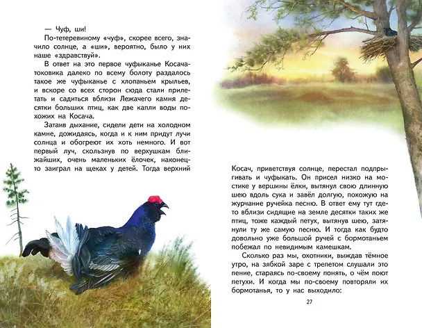 Книга Кладовая солнца (ил. В. Дударенко) (Михаил Пришвин) — 12