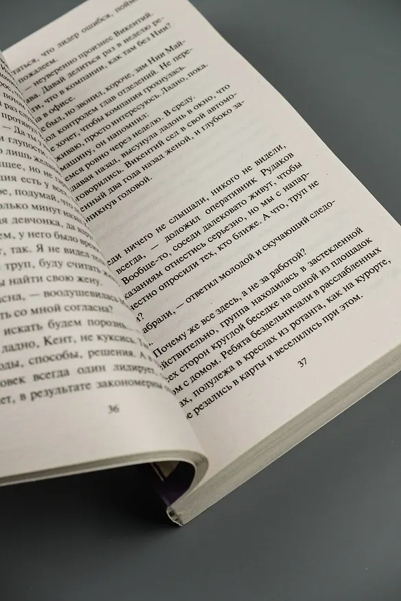 Книга Длинная тень ожиданий (Лариса Соболева) — 9