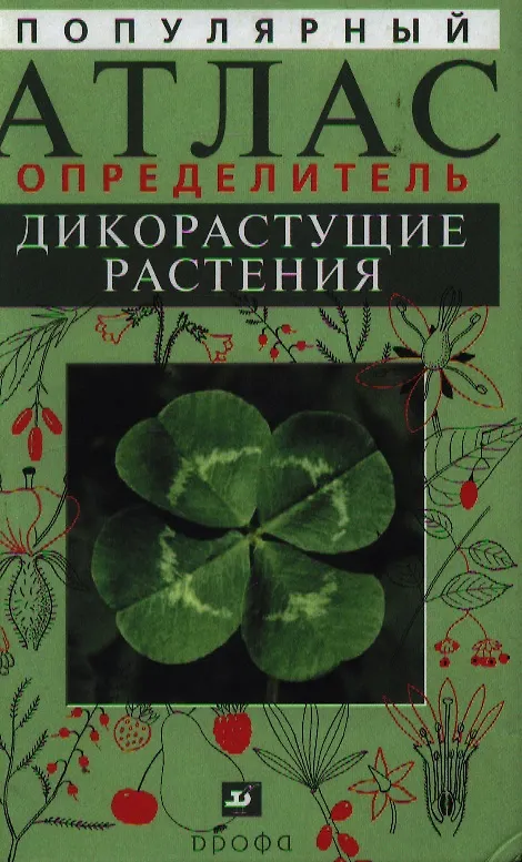 Книга Популярный атлас-определитель Дикорастущие растения: (Владимир Новиков) — 1