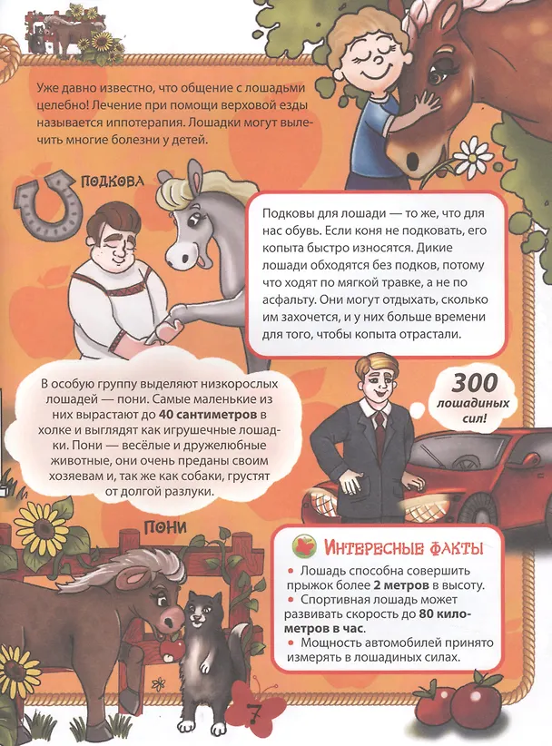 Книга Домашние животные () — 4