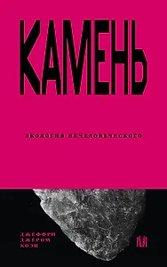 Камень. Экология нечеловеческого