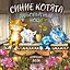 Синие котята. Любопытные носы. Календарь настенный на 2026 год (170х170 мм) — 3115576 — 1