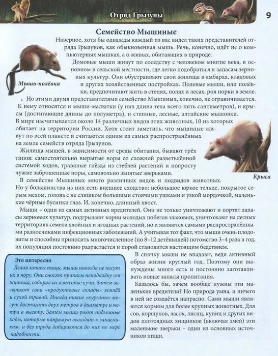 Книга Животные России. Энциклопедия (Леся Калугина) — 3