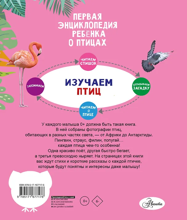 Книга Птицы () — 2