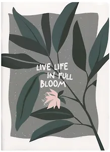 Тетрадь в клетку Be Smart, Pots, А4, 48 листов