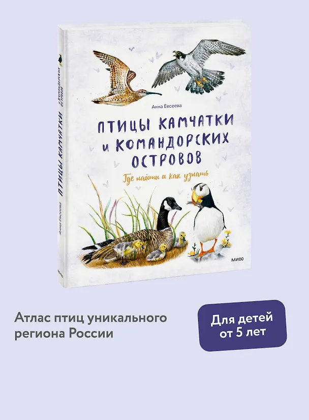 Книга Птицы Камчатки и Командорских островов. Где найти и как узнать (Анна Евсеева) — 5