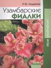 Узамбарские фиалки — 2074232 — 1