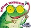 Загляни в окошко! Милые животные — 3168394 — 1