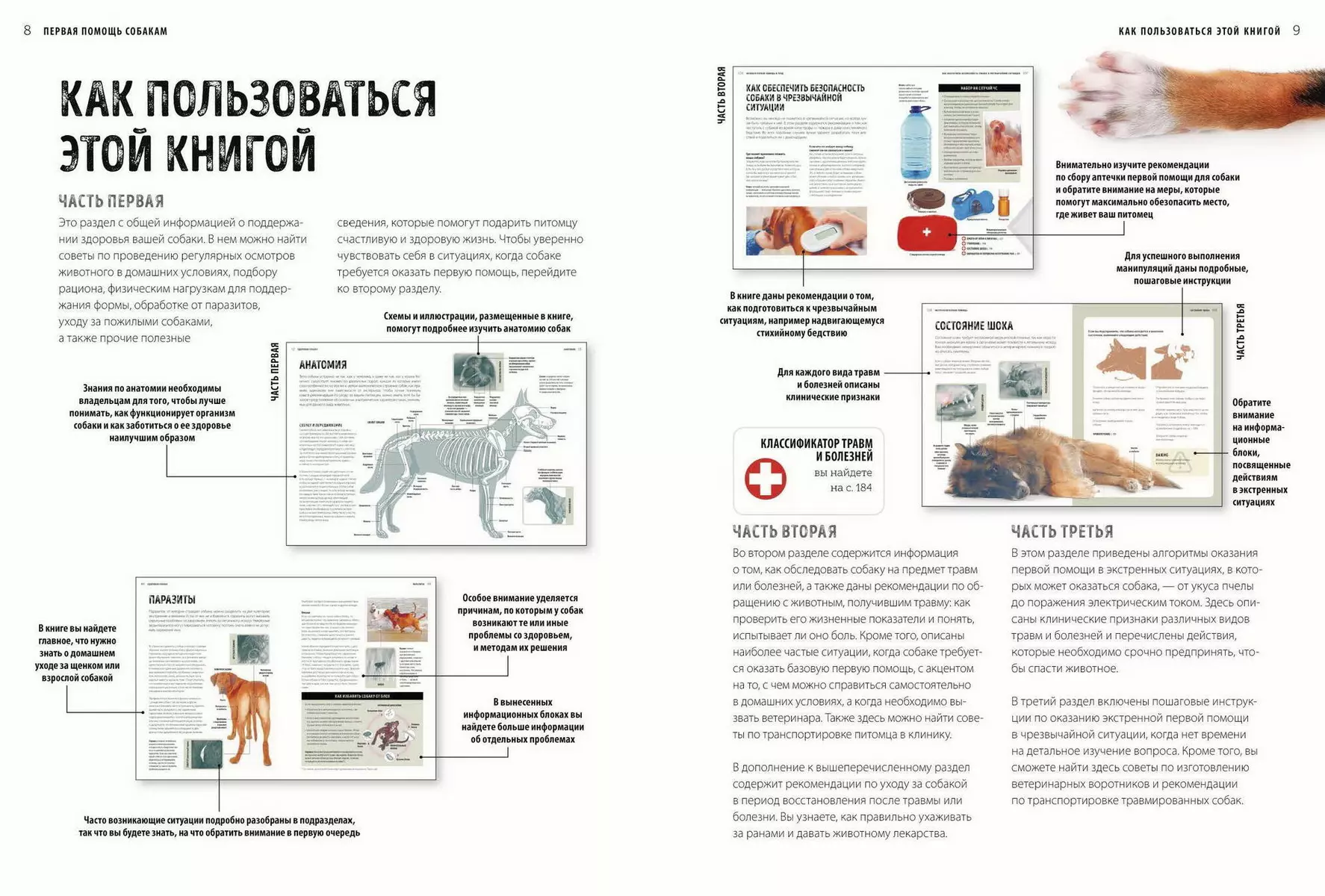 Первая помощь собакам. Осмотр, действия в экстренных ситуациях, аптечка первой  помощи, социализация (Дженнифер Паркер) - купить книгу с доставкой в  интернет-магазине «Читай-город». ISBN: 978-5-00195-010-3