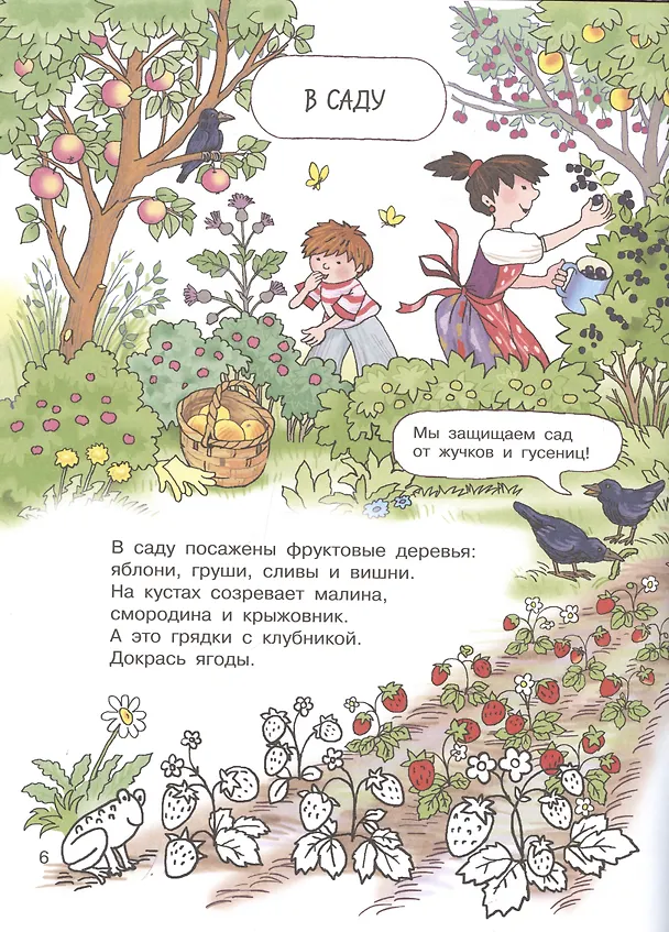 Книга Суета вокруг пирога. Где мы были и что узнали () — 5