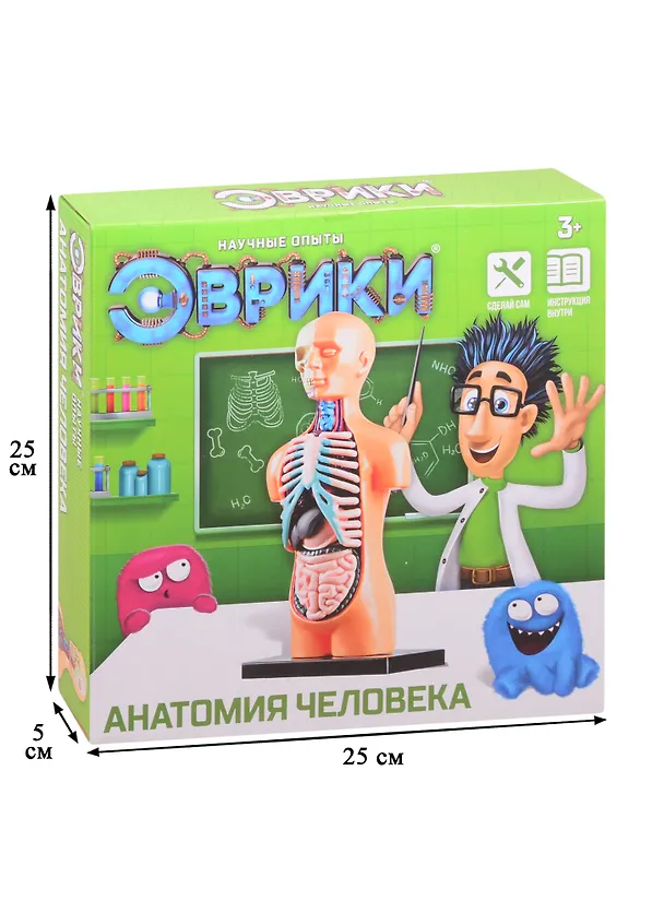 Научный опыт ТМ Эврики «Анатомия человека» 2840273 — 2