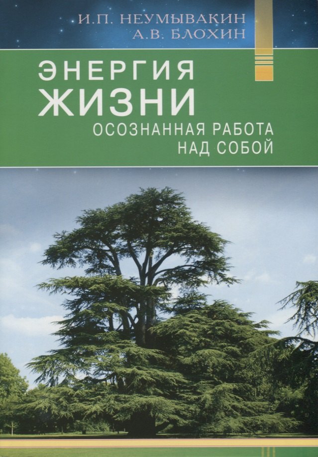 

Энергия жизни. Осознанная работа над собой