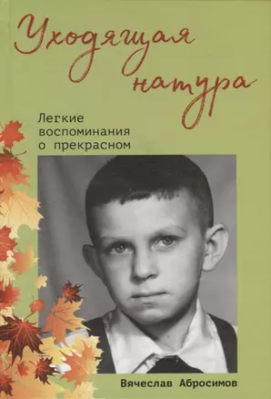 Уходящая натура. Легкие воспоминания о прекрасном — 2741988 — 1