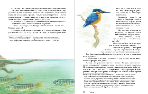 Книга Вниз по Причуди. Продолжение бестселлера "Вверх по Причуди и обратно" (Денис Джеймс Уоткинс-Питчфорд) — 3