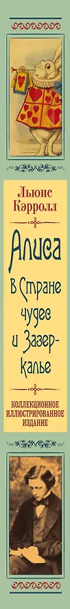 Книга Алиса в Стране чудес и Зазеркалье: Сказки не для детей (Льюис Кэрролл) — 3