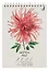 Скетчбук А5 40л "Георгин" комбинир.блок, тв.обложка, софт.тач., евроспираль — 3011635 — 1