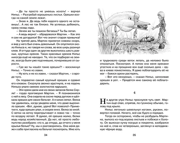 Книга Чудесное путешествие Нильса с дикими гусями (Сельма Оттилия Лувиса Лагерлёф) — 13