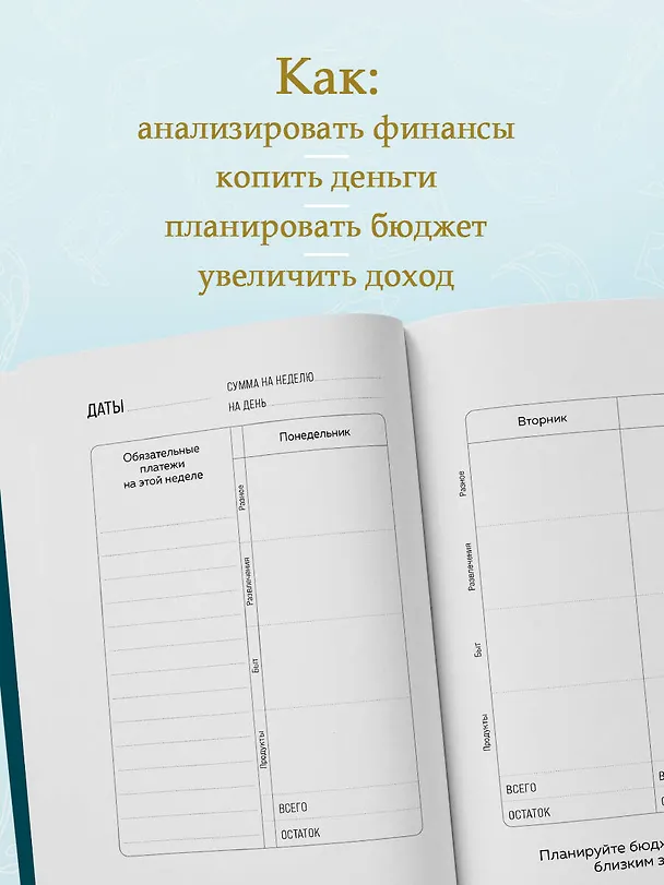 Ежедневник недатированный «Деньги - брызги. Планировщик бюджета» А6, 64 листа, Эксмо 3112702 — 5