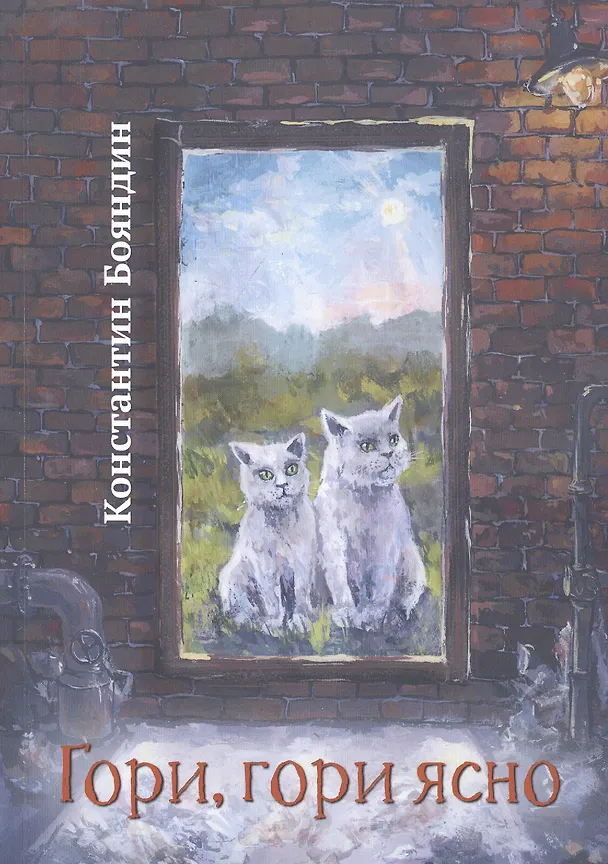 Книга Гори, гори ясно (Константин Бояндин) — 1