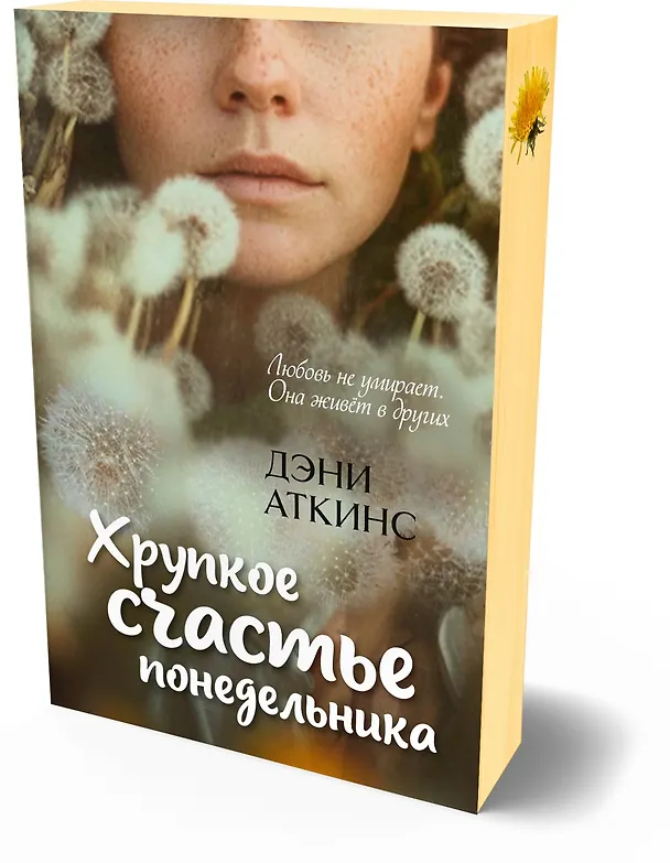 Книга Хрупкое счастье понедельника (Дэни Аткинс) — 4