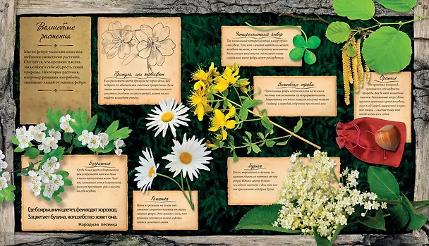Книга Феи и эльфы (Стелла Колдуэлл) — 7