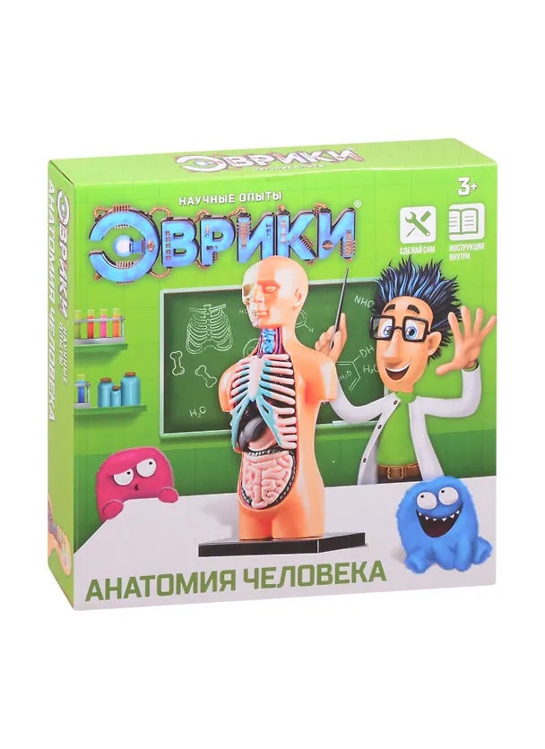 Научный опыт ТМ Эврики «Анатомия человека» 2840273 — 1