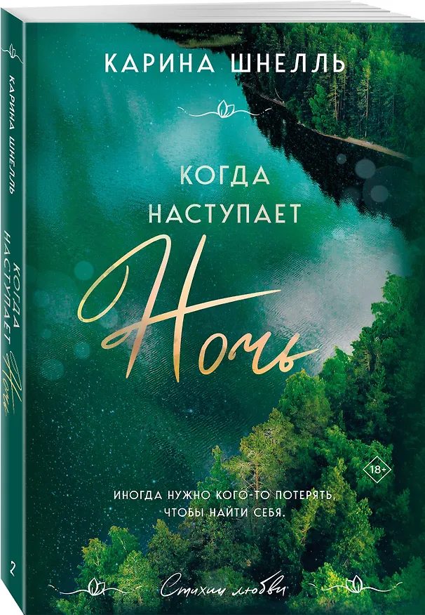 Книга Когда наступает ночь (Карина Шнелль) — 4