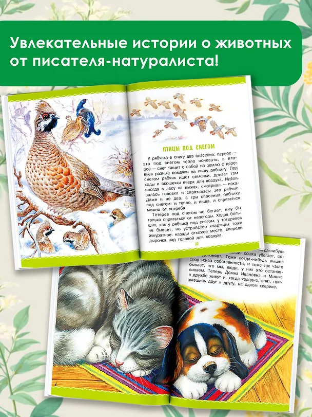 Книга Рассказы (Михаил Пришвин) — 6