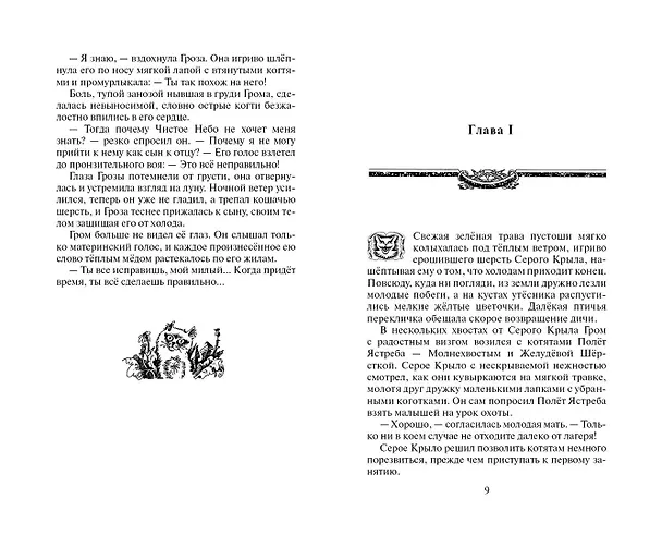 Книга Юность Грома (Эрин Хантер) — 4