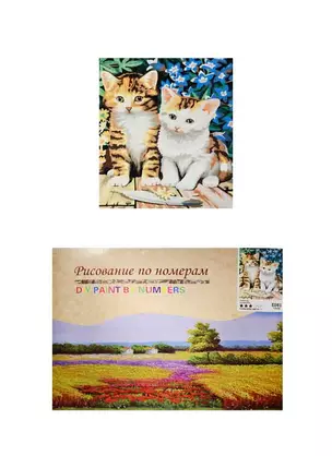 Набор для творчества, Картина по номерам Рыбалка (E081) (30х40) (6+) (коробка) — 2517911 — 1