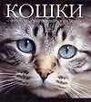 Кошки - это духи, спустившиеся на землю