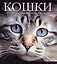 Кошки - это духи, спустившиеся на землю — 2087154 — 1