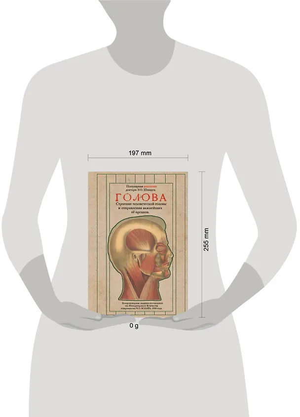Книга Голова. Строение человеческой головы и отправления важнейших её органов (Эдуард Оскар Шмидт) — 5