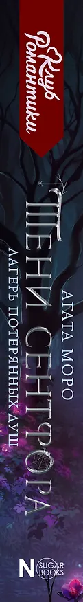 Книга Тени Сентфора. Лагерь потерянных душ (Агата Моро) — 5