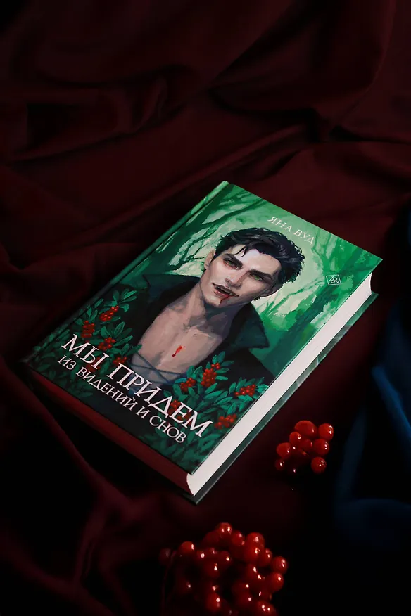 Книга Мы придем из видений и снов (Яна Вуд) — 12