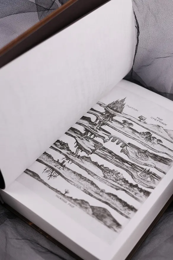 Книга Короны Ниаксии. Певчая птица и каменное сердце. Книга первая из дилогии о тенерожденных (Карисса Бродбент) — 16