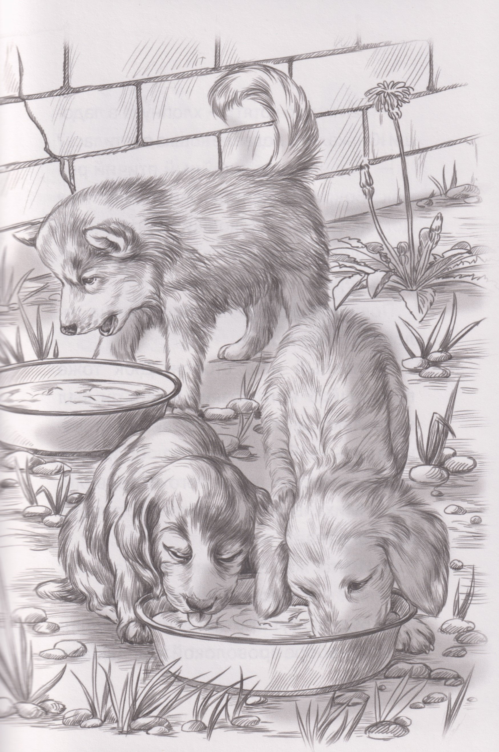 Изображение бумажной книги