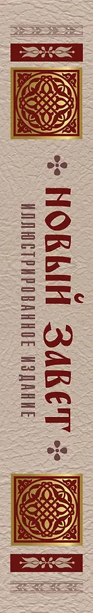 Книга Новый Завет. Иллюстрированное издание. Подарочное () — 3