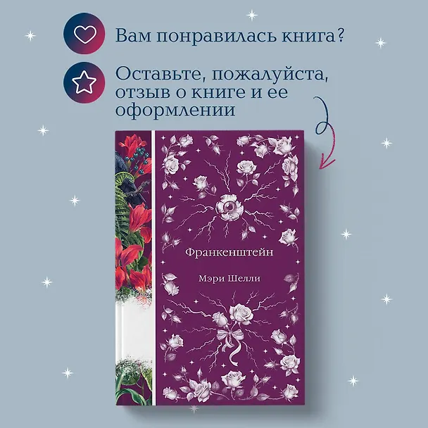 Книга Франкенштейн (Мэри Шелли) — 12