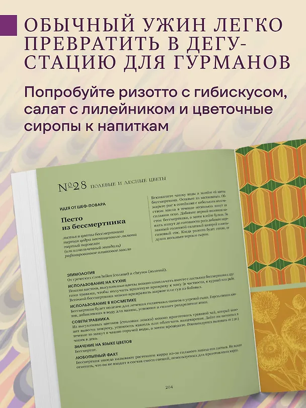 Книга Грамматика цветов. Иллюстрированный путеводитель по цветочной вселенной символов, лечебных свойств и применения растений (Симона Реканатини) — 9