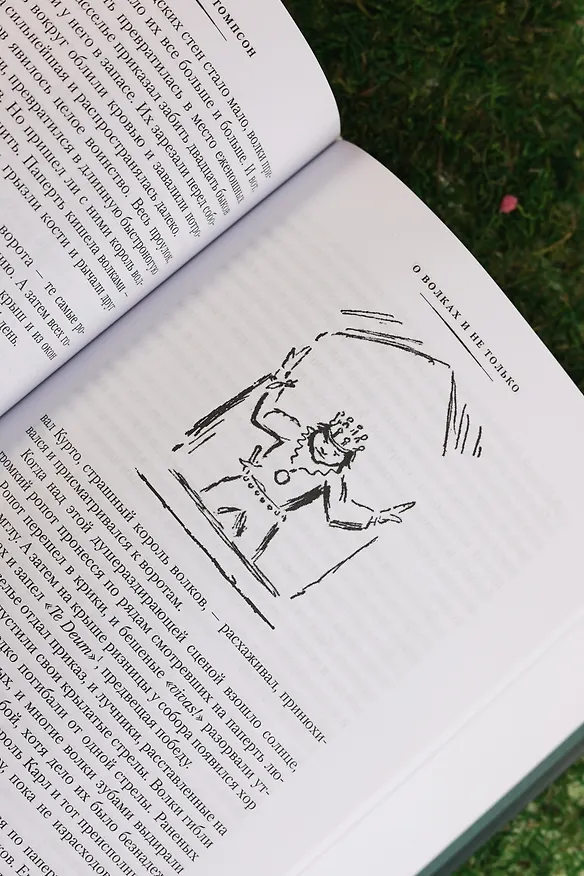 Книга Рольф в лесах. Лесные рассказы (Эрнест Сетон-Томпсон) — 14