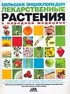 Книга Большая энциклопедия. Лекарственные растения в народной медицине (Геннадий Непокойчицкий) — 1