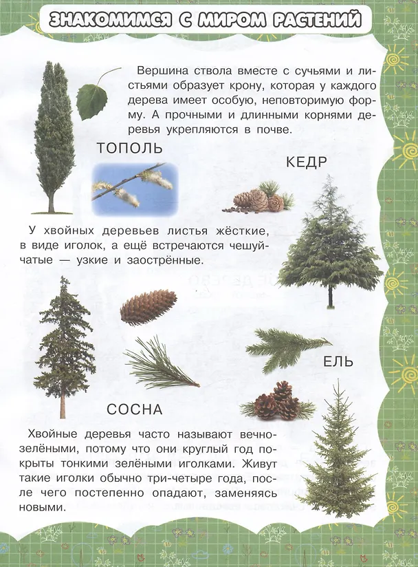 Книга Деревья и цветы (Игорь Резько) — 4