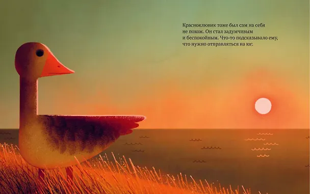 Книга Дикий робот на острове (Питер Браун) — 18