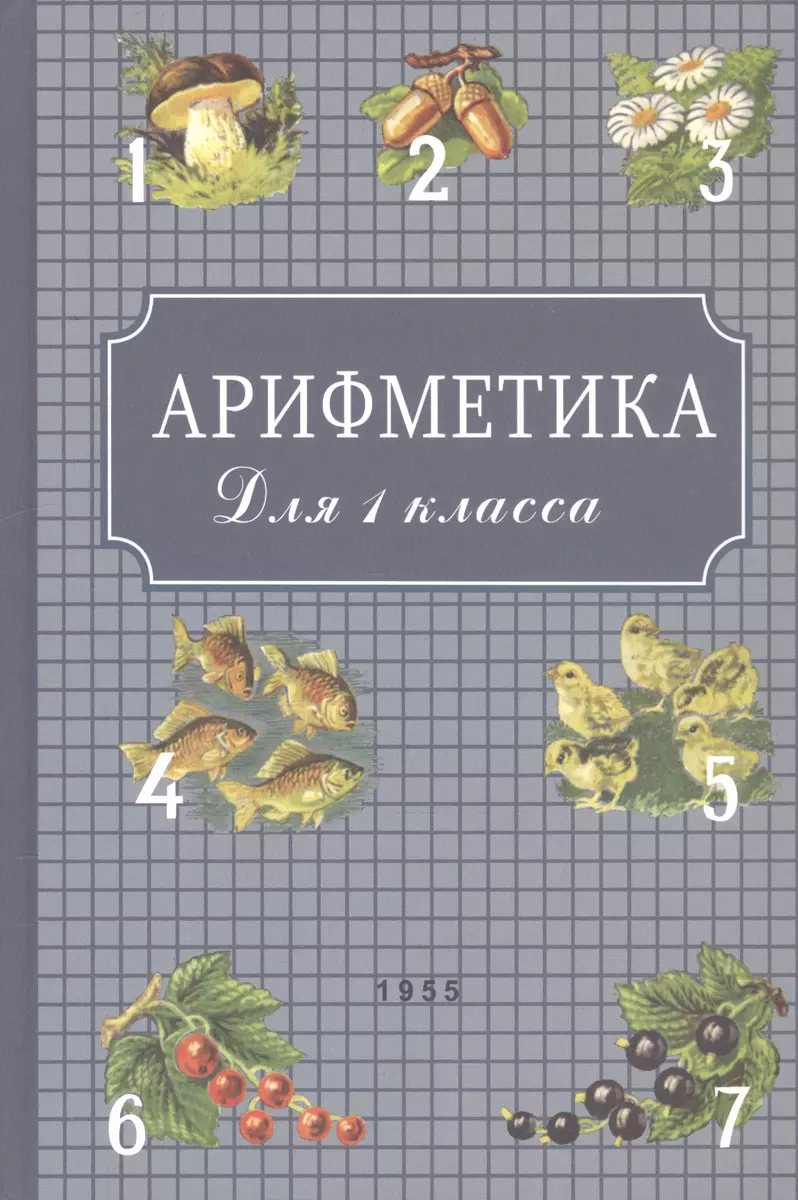 Арифметика для 1 класса (Александр Пчелко) - купить книгу с доставкой в  интернет-магазине «Читай-город». ISBN: 978-5-907289-13-0