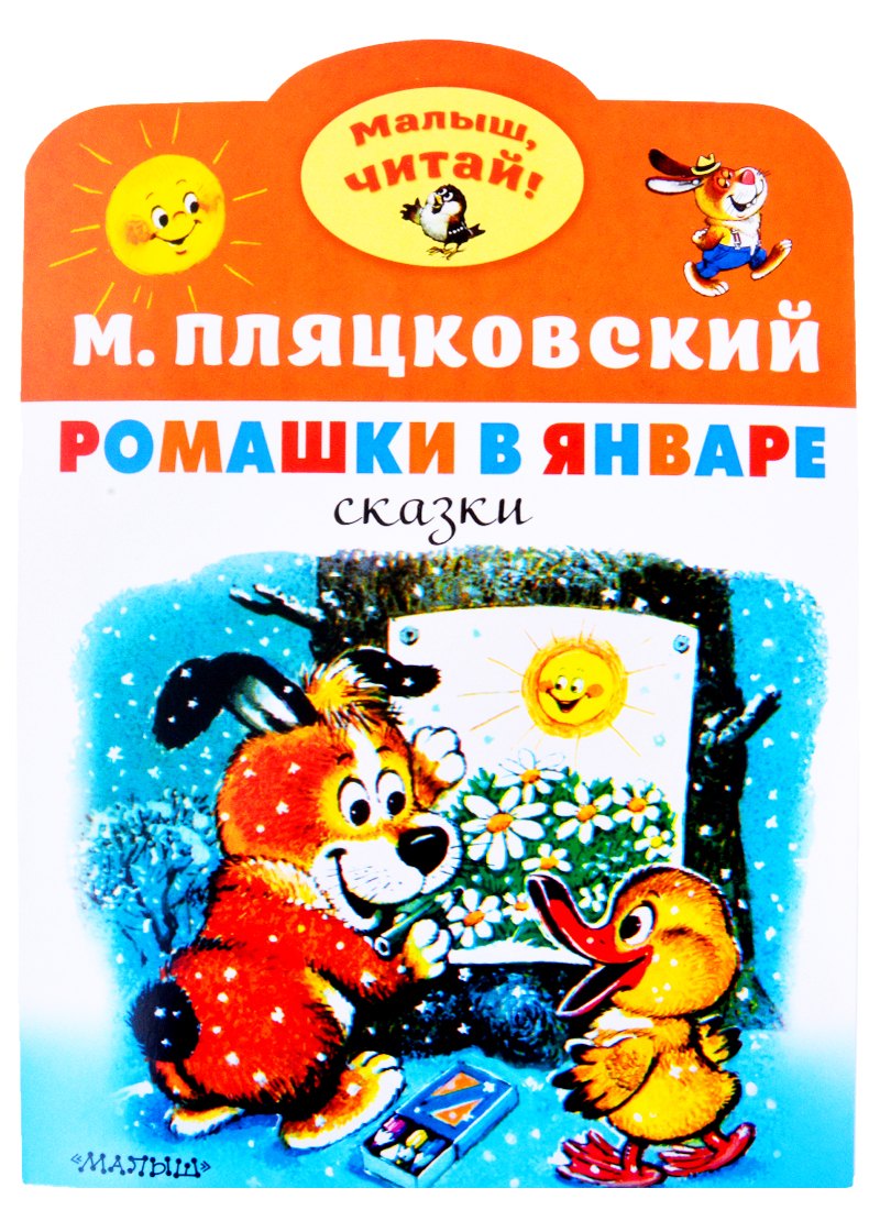 

Ромашки в январе