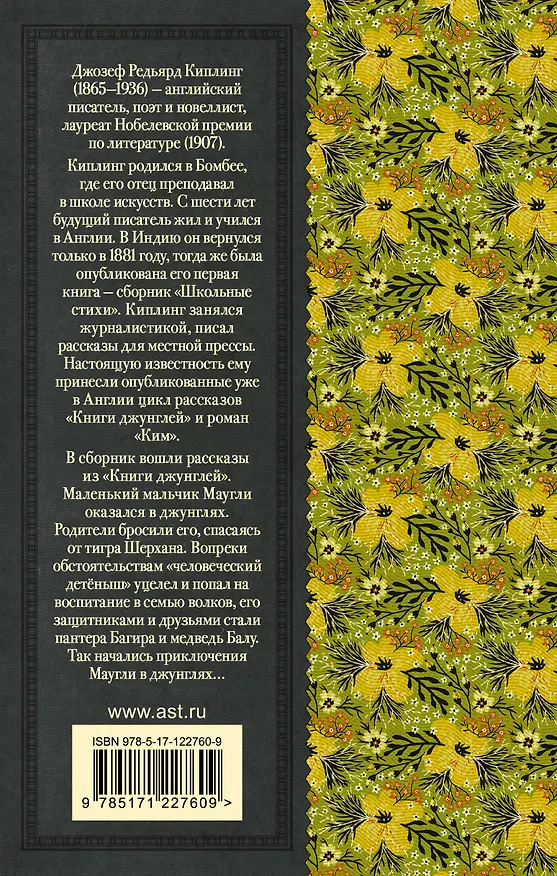 Книга Маугли (Редьярд Киплинг) — 2